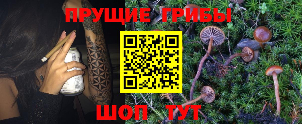 где продают наркотики  Псилоцибиновые грибы MAGIC MUSHROOMS  Магнитогорск  Вход с VPN  Псилоцибиновые грибы GOLDEN TEACHER 