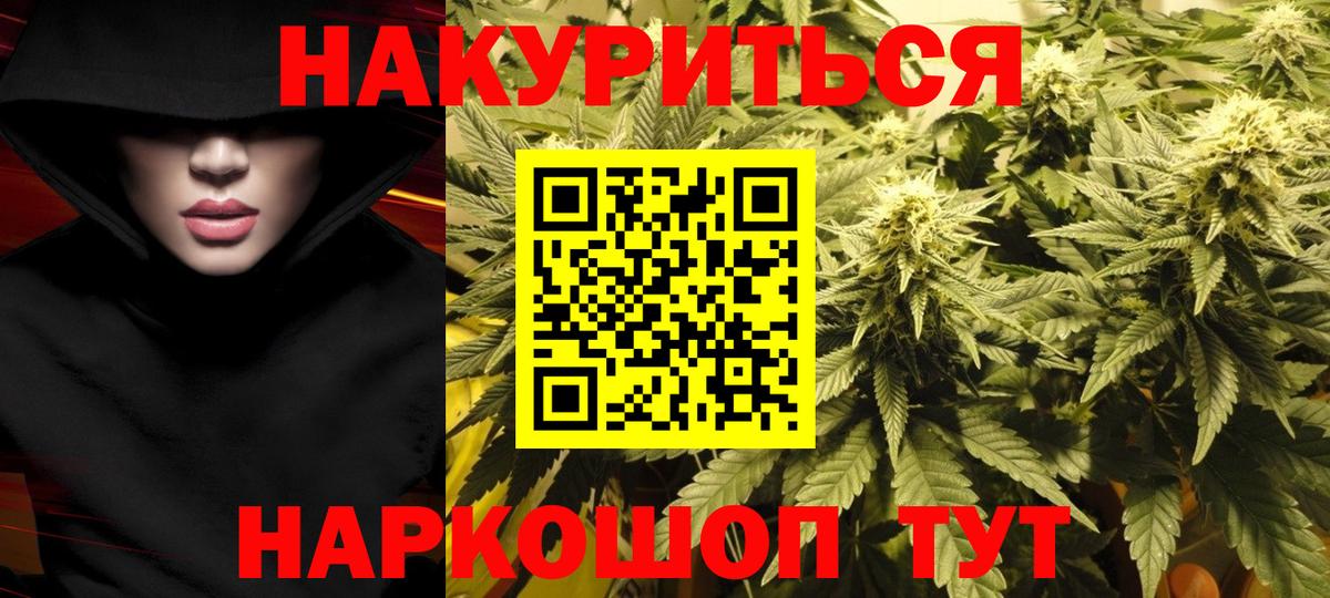 Канабис сатива  Конопля планчик  Вход с VPN  Бошки Шишки AK-47  Магнитогорск 